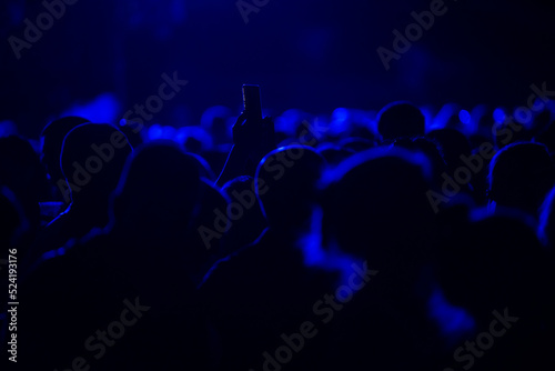 crowd at concert