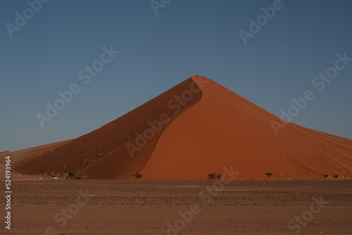 huge sand dunes in the Namib Desert with trees in the foreground of Namibia