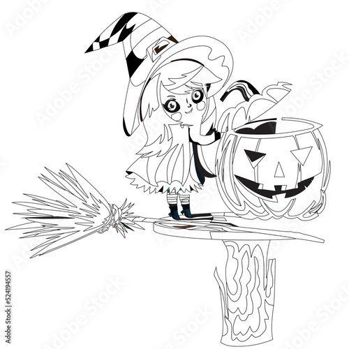 Halloween witch flying on broom .Vector illustration of a coloring on a halloween, funny cat in a witch hat sits on a pumpkin, coloring book page for kids and adults halloween .