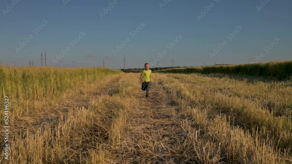 Little boy running among the wheat field Little boy running among the wheat field