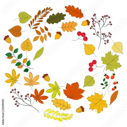 Autumn leaves vector set of illustrations. Colorful and bright cartoon style. Maple and oak  rowan and acorns  birch and rosehip  poplar and chestnut leaves stand out on a white background.