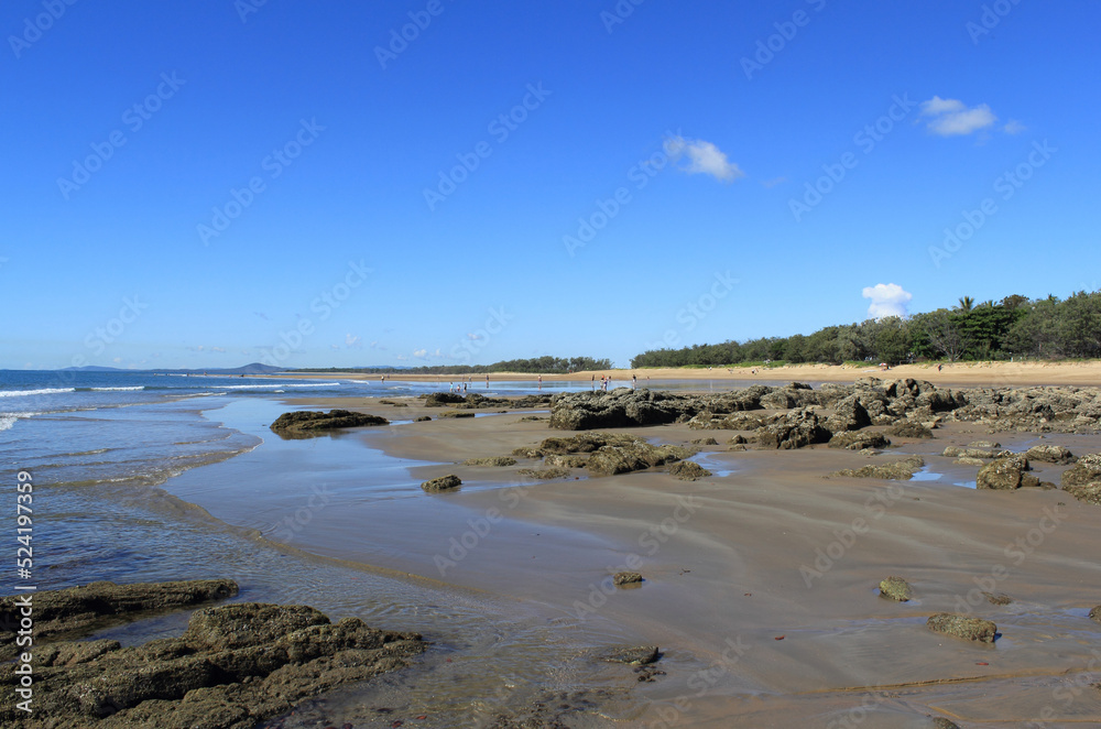 Beach seascape with the ocean, sand, rocks, trees and a blue sky