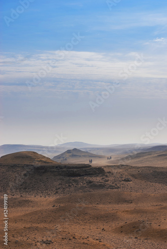 Desert landscape in Egypt. Camels on the background of a rocky desert.