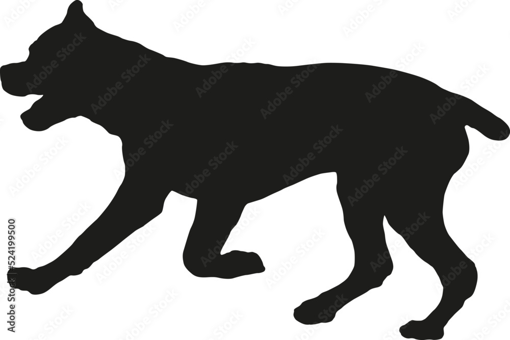 Black dog silhouette. Running, jumping italian mastiff puppy. Cane corso italiano or italian corso dog. Pet animals. Isolated on a white background.