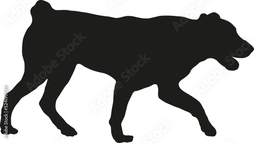 Walking central asian shepherd dog puppy. Black dog silhouette. Alabai or aziat. Pet animals. Isolated on a white background.