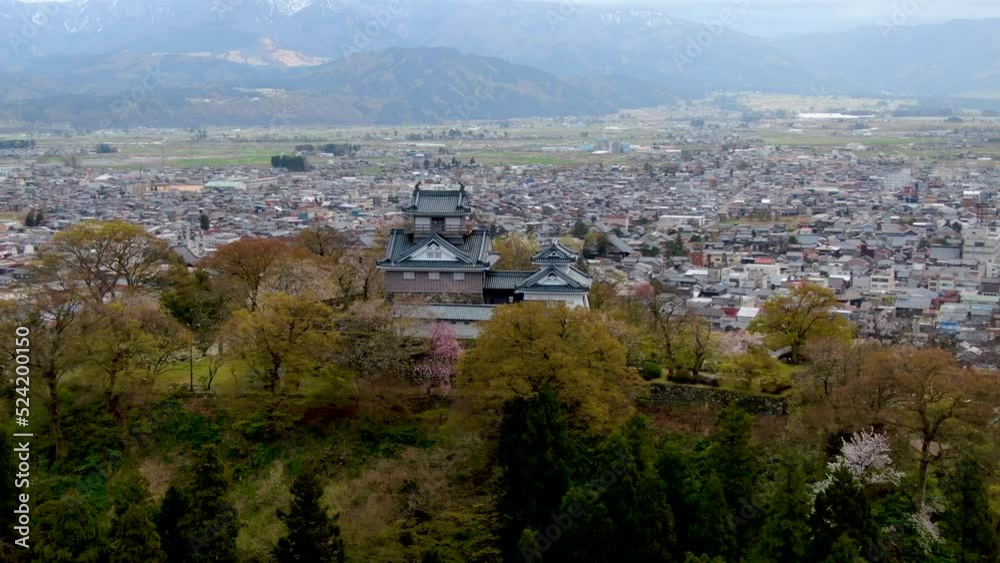 桜と越前小野城