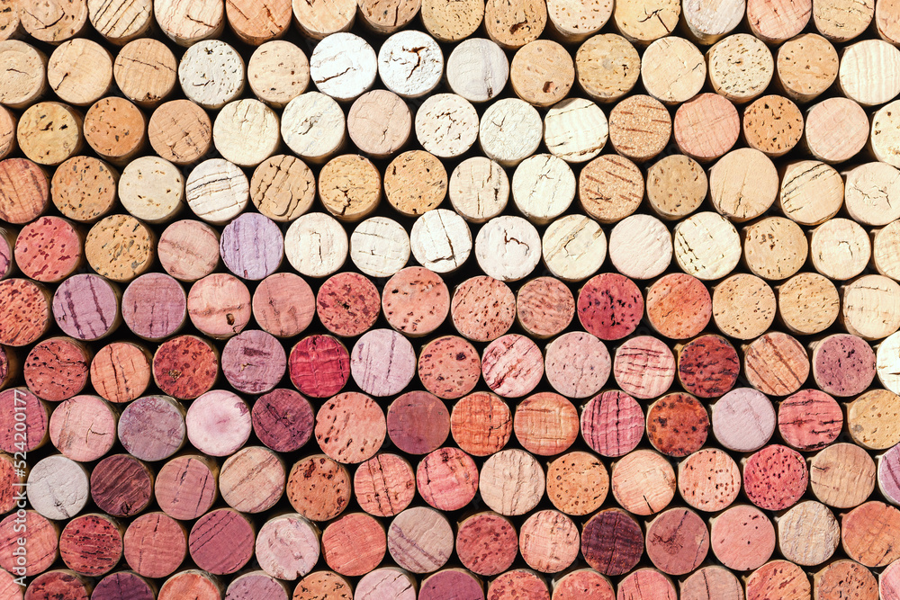 Wine cork background from red and white wine, natural texture used bottle stoppers top view. Closeup wooden corks. Natural textured stoppers colored wallpaper. Bright background wine corks