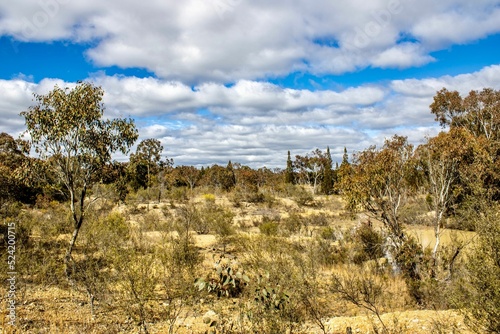 Beautiful Landscape under loudy Sky photo