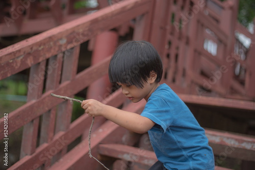 A 3-4 year old Asian boy is playing and walking down the wooden steps in the garden around the house.