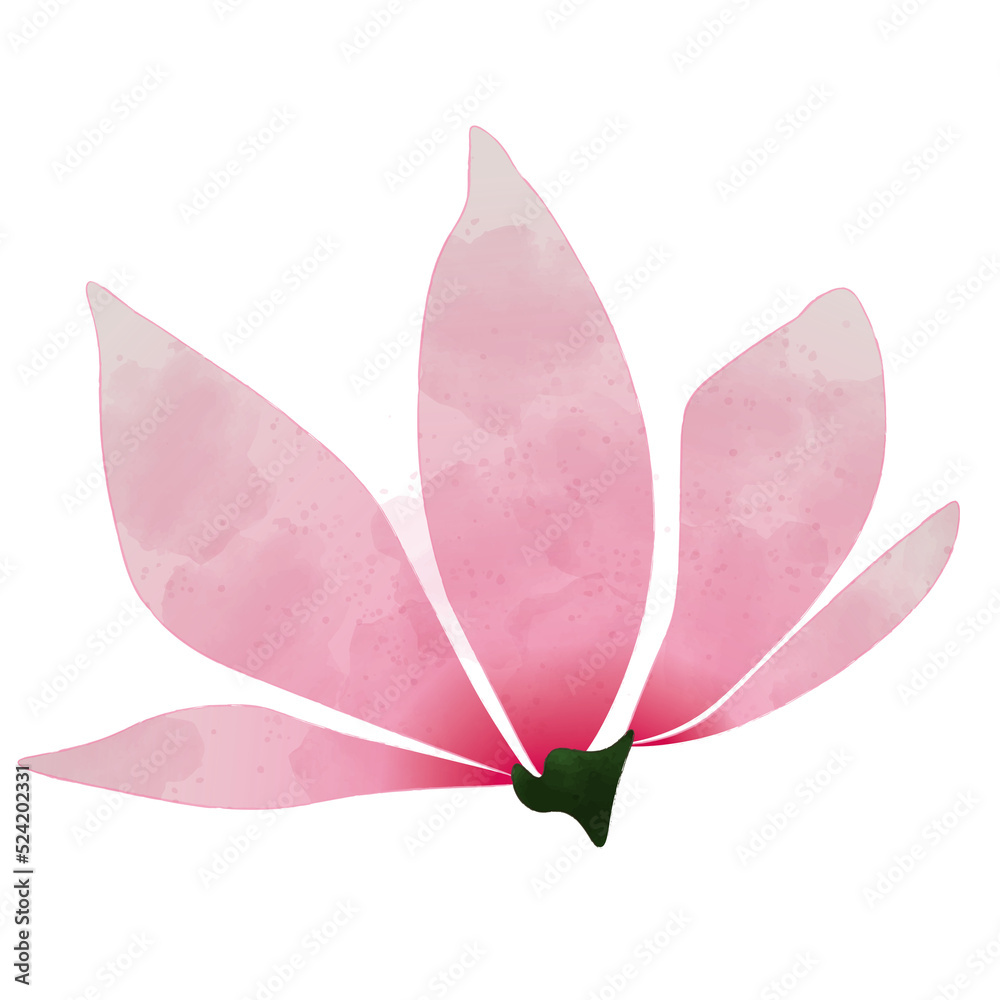 Fototapeta premium Watercolor flower png
