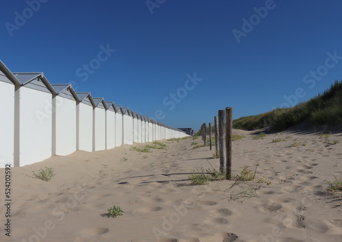 sand dune fence