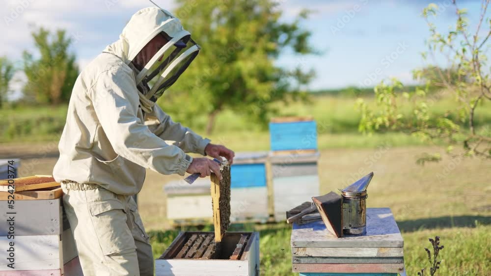 Man in special protective outfit working on his bee farm. Beekeeper pulls a full frame out of hive rising it to the level of his eyes. Blurred backdrop. Man in special protective outfit working on his bee farm. Beekeeper pulls a full frame out of hive rising it to the level of his eyes. Blurred backdrop.