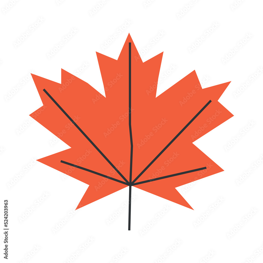 Vector isolated illustration with flat botanical element. Orange symbol of autumn in Canada - maple leaf. Decorative fall object on white background