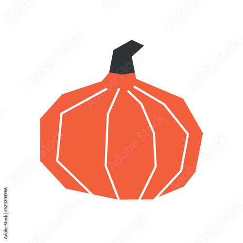 Vector isolated concept with botanical element - sweet baby pam pumpkin. Orange vegetarian symbol of autumn - fresh squash. Decorative geometric halloween object - small gourd on white background photo