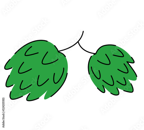 Illustration of green hops isolated on white background