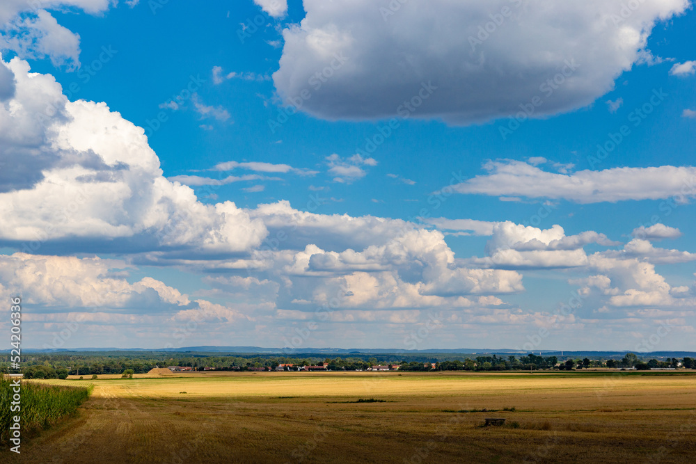 Beautiful view of the summer fields. Rural landscape.