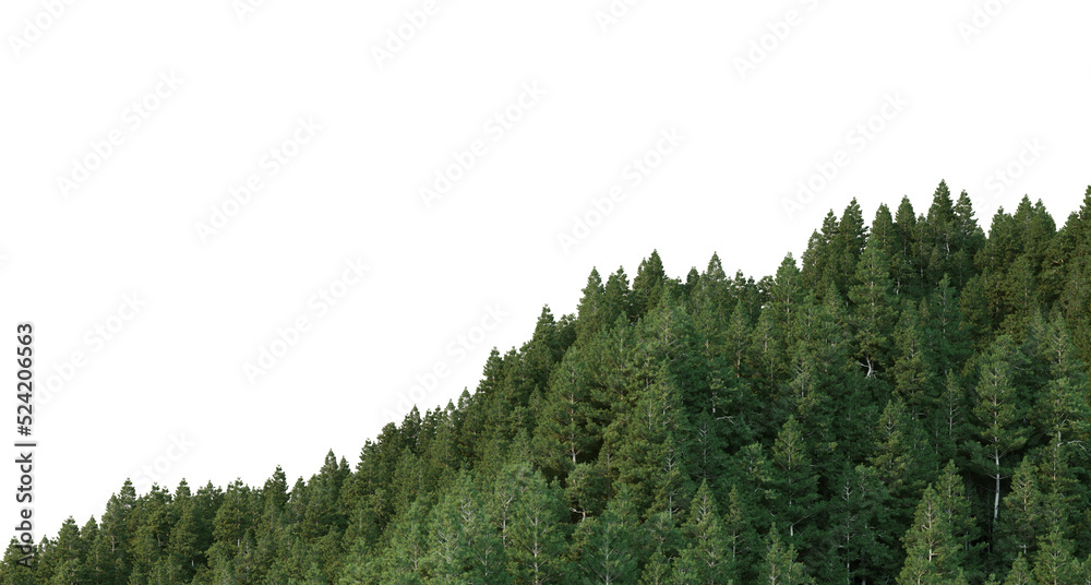 Coniferous forest on a transparent background Stock Illustration