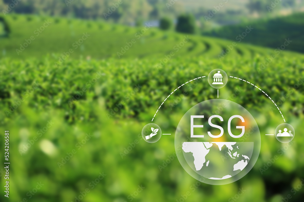 ESG Icon Concept - Environment,Society and Governance in Sustainable and Ethical Business on Networking and Organizational Connections.