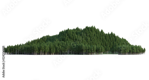 Coniferous forest on a transparent background 