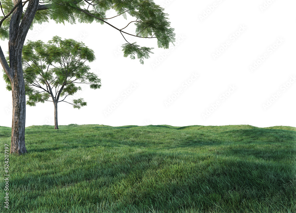 Fototapeta premium Meadow on a transparent background 