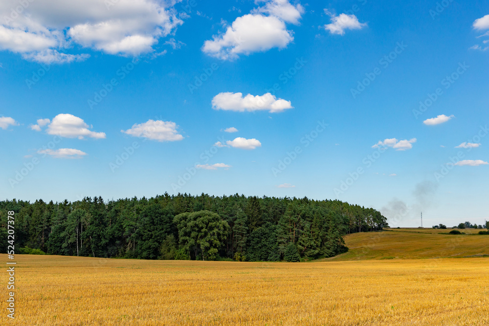 Summer landscape with hilly field and forest in the distance