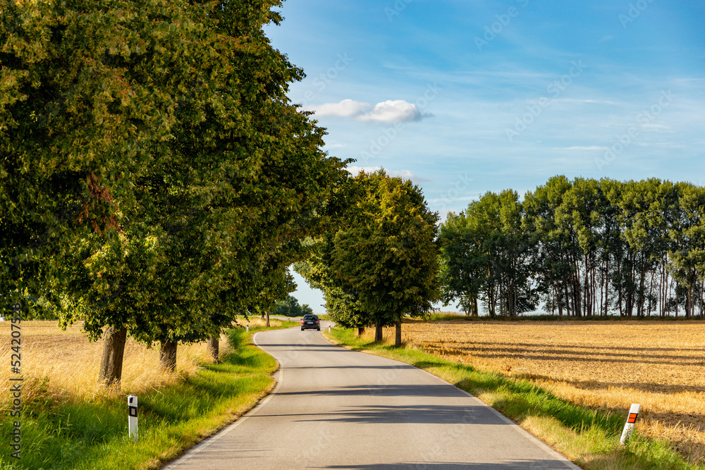 Road in the countryside. Summer day. South Czech Republic.