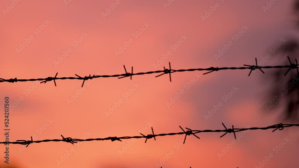 Barbed wire against beautiful sunset sky; concept of safety and security Barbed wire against beautiful sunset sky; concept of safety and security