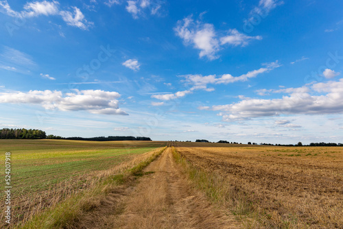 Road betwin green grass field under white clouds and blue sky.