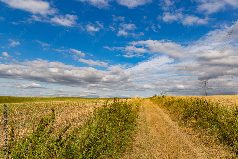 Road betwin green grass field under white clouds and blue sky. Road betwin green grass field under white clouds and blue sky.