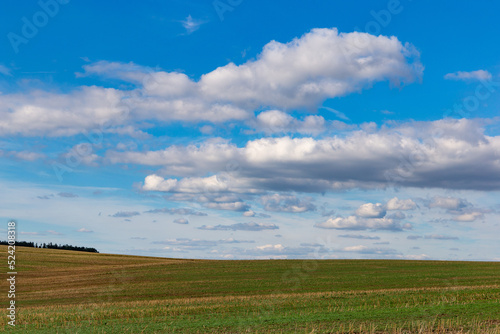 Landscape of the countryside. Czech. Typical summer countryside landscape.