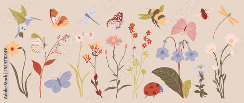 Set of botanical vector element. Collection of bird, butterfly, dragonfly, honey bee, flower, wildflowers, leaf, ladybug. Autumn garden illustration design for logo, wedding, invitation, decor.
