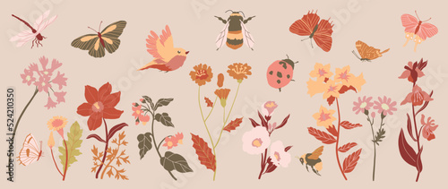 Set of fall botanical vector element. Collection of bird, butterfly, dragonfly, honey bee, flower, wildflowers, leaf, ladybug. Autumn garden illustration design for logo, wedding, invitation, decor.