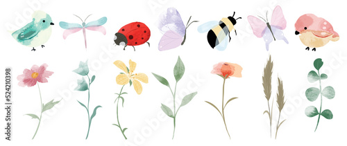 Set of botanical vector element. Collection of bird, butterfly, dragonfly, honey bee, flower, wildflowers, leaf, ladybug. Watercolor garden illustration design for logo, wedding, invitation, decor. © TWINS DESIGN STUDIO