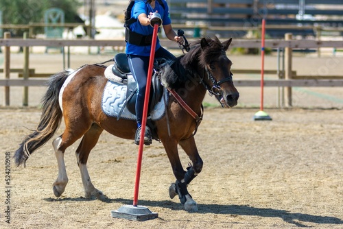 Little girl that rides a brown pony during Pony Game competition at the Equestrian School