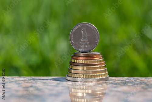 1 Israeli shekel coin