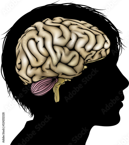 Brain development concept