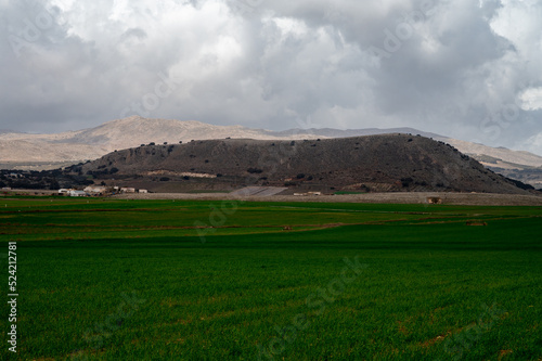 Panoramic view on agricultural valley Zafarraya with fertile soils for growing of vegetables, green lettuce salad, cabbage, artichokes, Andalusia, Spain photo