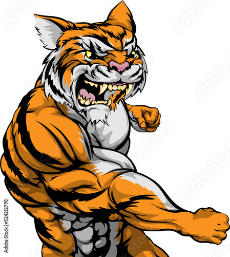 Tiger character fighting