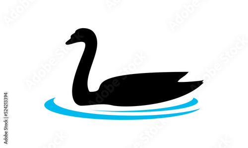 black swan logo vector