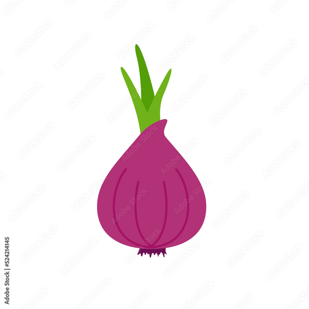 Onion vector. raw materials for cooking