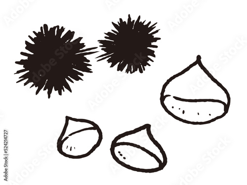 栗の手描き風線画