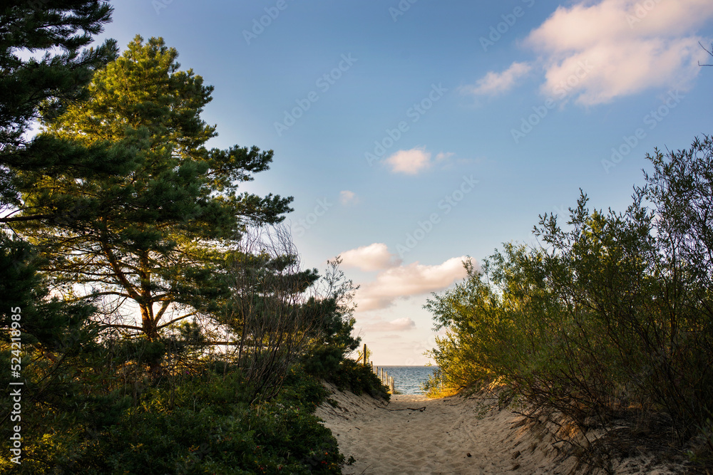 Obraz premium wejście na plażę