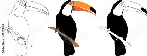 Exotic Toco Toucan tucano bird vector illustration. Simple clipart design of jungle bird with a big beak.	 photo