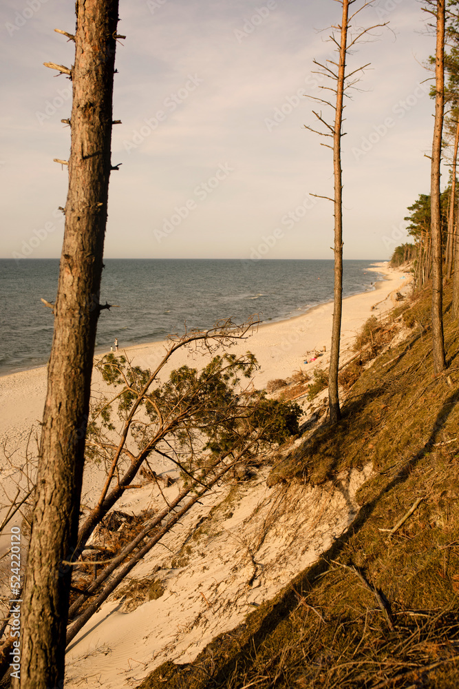 dzika plaża