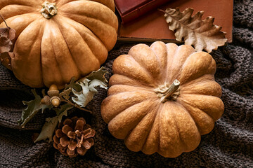 Cozy autumn still life with pumpkins, knitted woolen sweater and books on windowsill. Autumn home decor. Cozy fall mood. Autumn reading. Thanksgiving. Halloween.