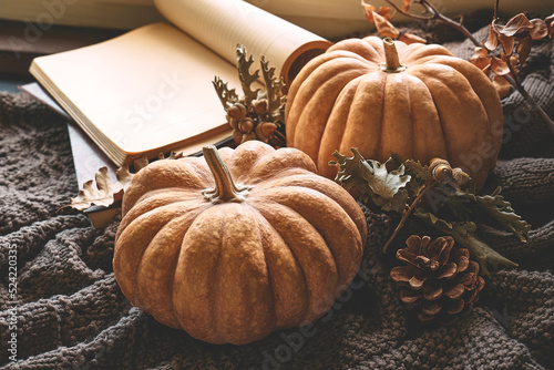 Cozy autumn still life with pumpkins, knitted woolen sweater and books on windowsill. Autumn home decor. Cozy fall mood. Autumn reading. Thanksgiving. Halloween. photo