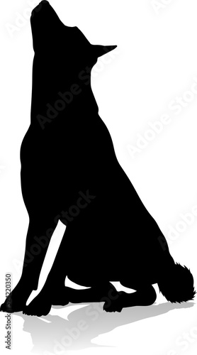 Dog Silhouette Pet Animal photo