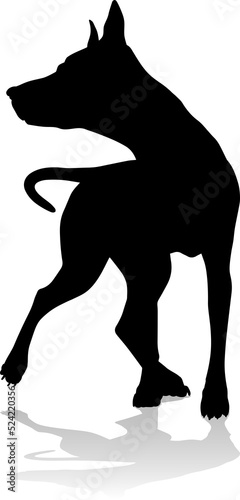 Dog Silhouette Pet Animal photo