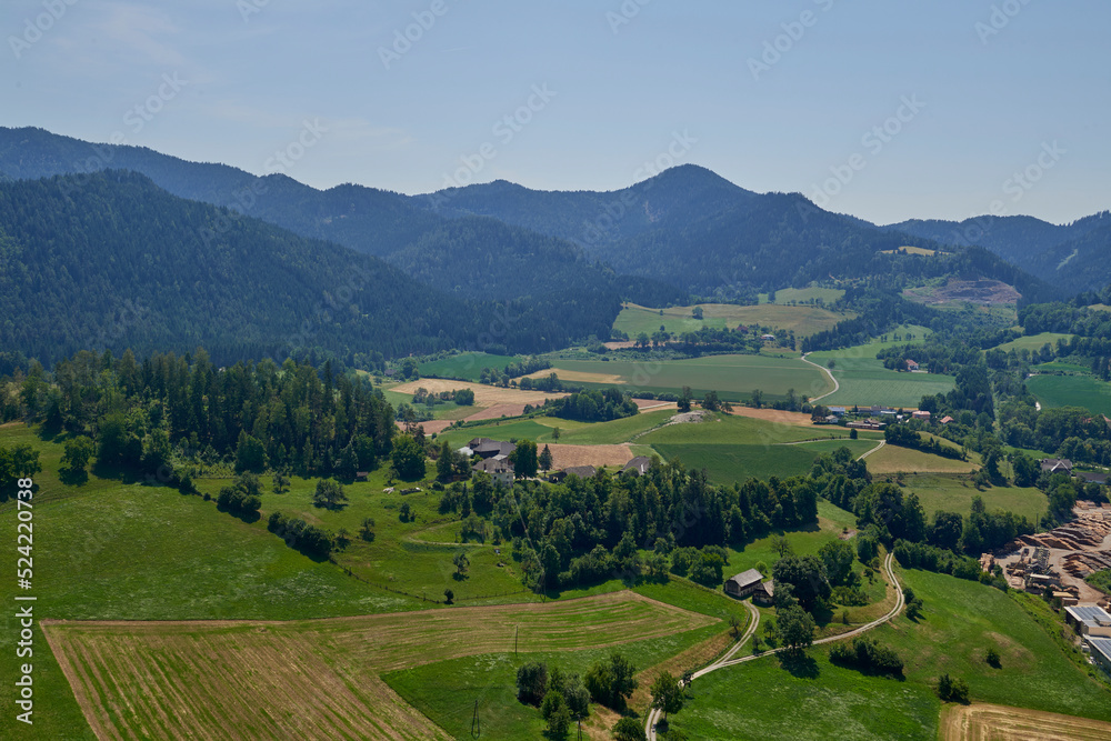 View green meadow and farm fields, forest in the mountains