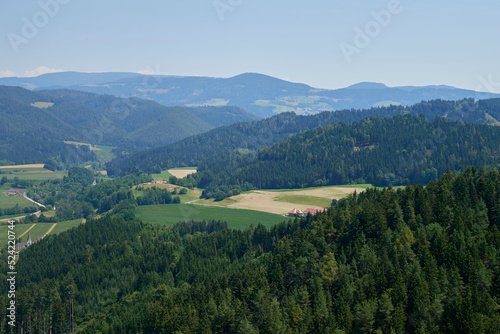 View green meadow and farm fields, forest in the mountains © vitleo